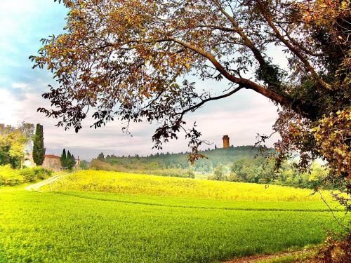 Casa Mora B&B in Predappio