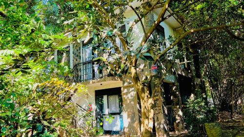 Salaya'z Sanctuary Munyonyo