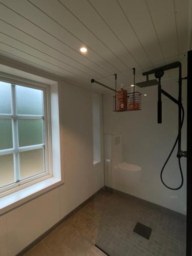 淋浴間, Tronstadbu- 1800s Cabin near Geirangerfjord & Slogen Hike in 海爾西特