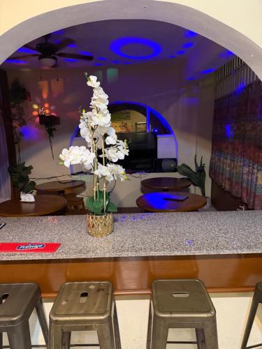 La Belle Maison Milot in Milot