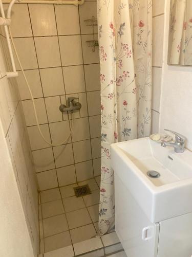 鹿鸣Skovhus in Aarhus V