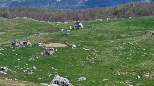 Wild Peak Camp Volujak in Izgori