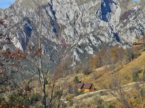 Wild Peak Camp Volujak in Izgori