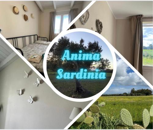Anima SARDINIA - Villaspeciosa