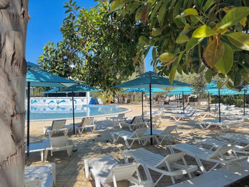 Hammamet Garden Resort & Spa in Hammamet