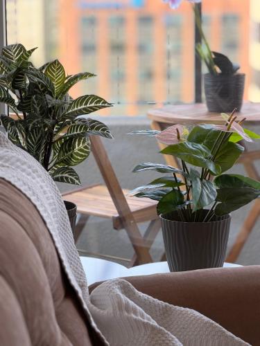 Departamento La florida, Parking, Metro, Mall, Clinicas, Wifi in 拉弗羅里達