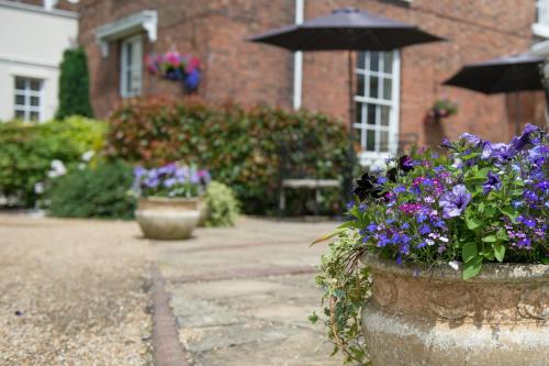 Hadley Park House Hotel - image 5