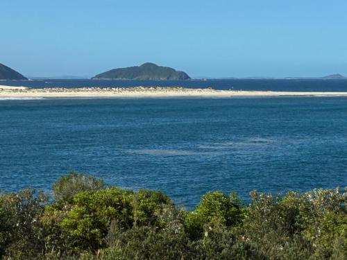 The Mango Tree in Port Stephens