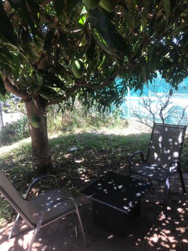 The Mango Tree in Port Stephens