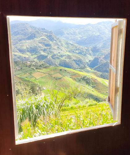 View, Indigenous homestay- Trek- Food- Bus in Mu Cang Chai