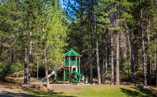 Lake of the Springs Camping Resort Yurt 2 - image 7