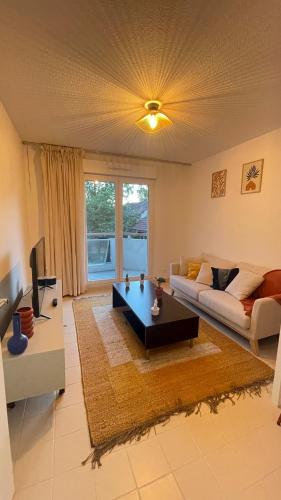 Apartment 1 room 5 minutes from Geneva in Etrembieres (Rhone-Alpes)