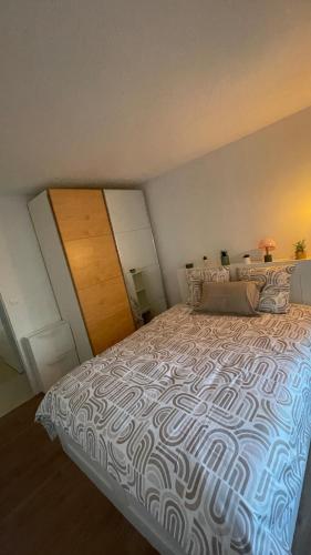 Apartment 1 room 5 minutes from Geneva in Etrembieres (Rhone-Alpes)