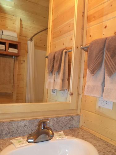 Palm Springs Camping Resort Cabin 3 in Palm Desert, USA