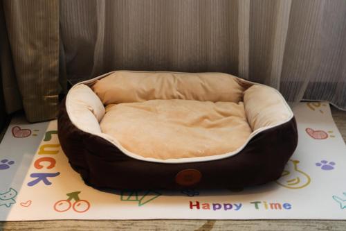 2 twin beds