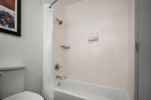 Comfort Inn & Suites Los Alamos - image 36