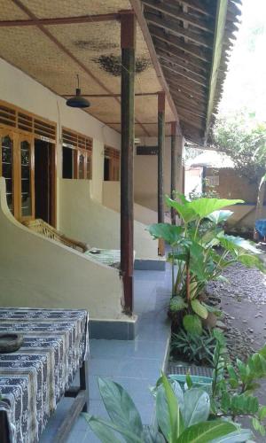 Sonya Homestay