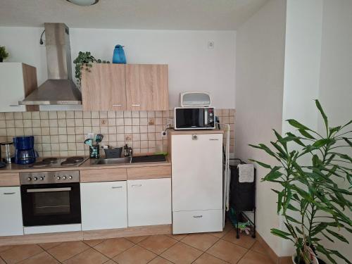 Kitchen, Ferienwohnung in Bad Schwalbach in Bad Schwalbach