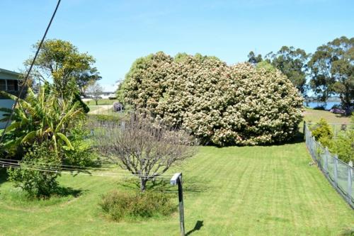 Lisieux - Country Style Family Retreat, Metung (foto 6)