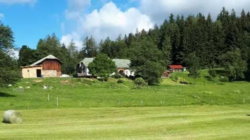 Landhof Steinhütte in Bayerisch Eisenstein, Deutschland