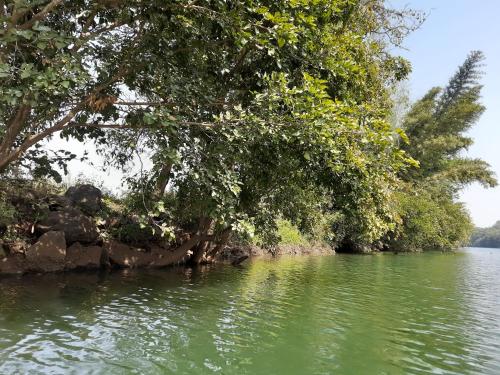Skats, The Glen Woods Luxury Dome Stay near Pavana Lake in Shevati
