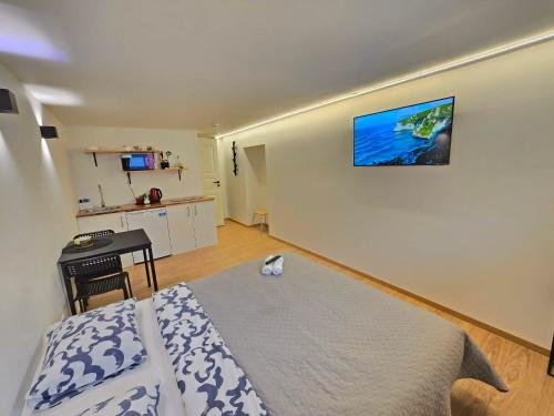 T6 Studio apartment, Klaipėda