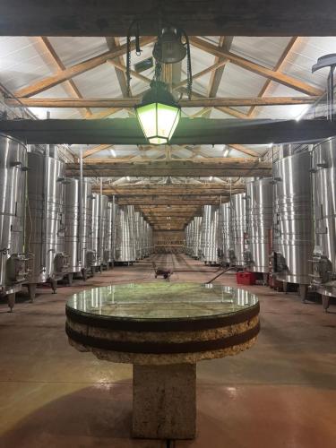 Aktivitātes, Village villa, private pool, canal du midi in Argens-Minervois