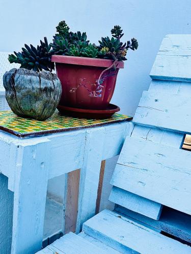 Villa Pollio Guest House 4