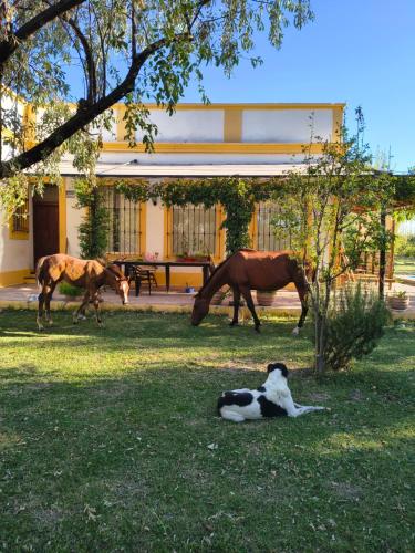 Finca La Penúltima-Posada