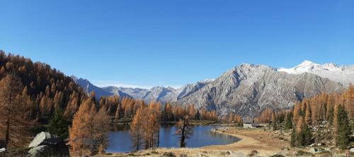 Natural Lodge Maso Baseta in Caderzone