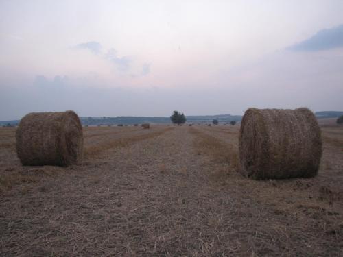 Guest House Ongal - image 2