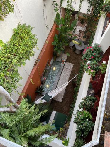 Leclerc Hotel Boutique Granada - Tap to explore photos