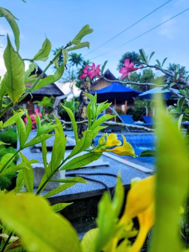 RR Cottage, Nusa Penida
