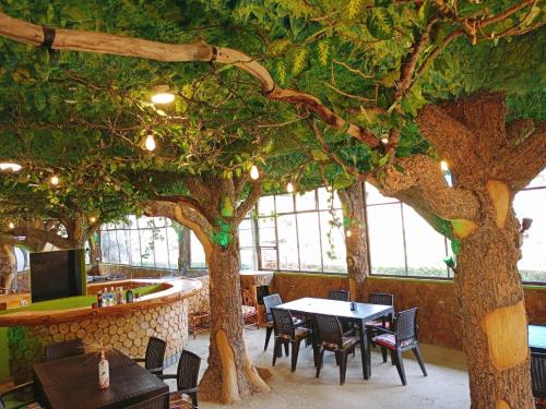 Hostal Restaurant TOROTORO in Torotoro