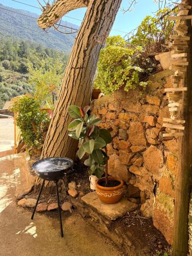 Maison de charme entre mer, montagne et Scandola in Serriera