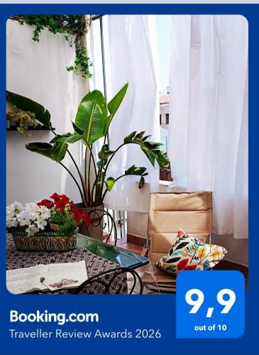 Nicuzzaduci Home