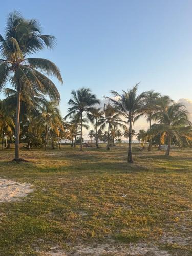 Rancho Pacatu com vista para os Lençóis Sergipanos