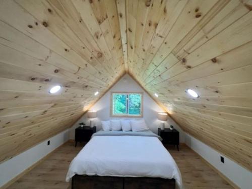 Scott's Superior Inn and Cabins - main image