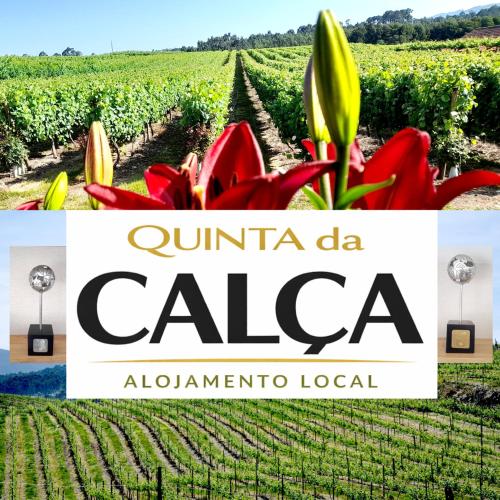 Quinta da Calça - Esposende gîte à louer Santa