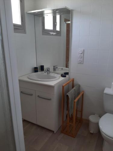 Studio indépendant rénové avec jardin (Studio independant renove avec jardin) in La Guerche-de-Bretagne