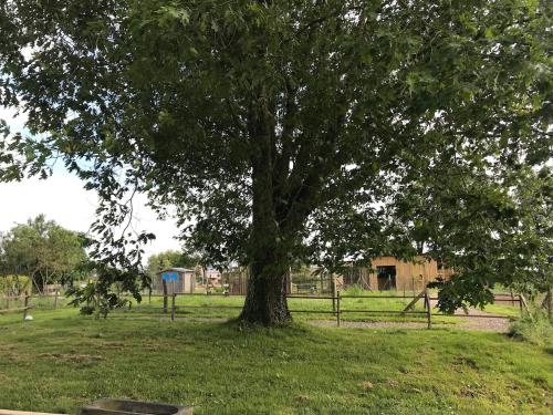 Studio indépendant rénové avec jardin (Studio independant renove avec jardin) in La Guerche-de-Bretagne