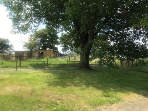 Studio indépendant rénové avec jardin (Studio independant renove avec jardin) in La Guerche-de-Bretagne