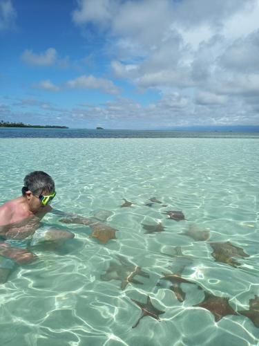 Discovery Gunayar in El Porvenir