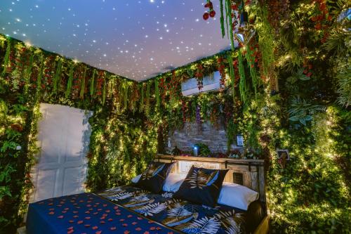 La Jungle Room in 聖弗龍德普拉杜