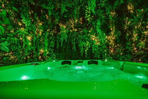 La Jungle Room in 聖弗龍德普拉杜