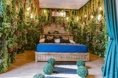 La Jungle Room in 聖弗龍德普拉杜