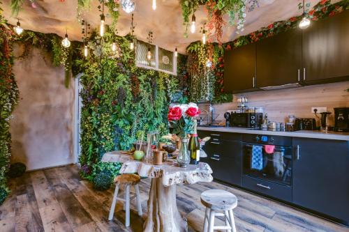 La Jungle Room in 聖弗龍德普拉杜
