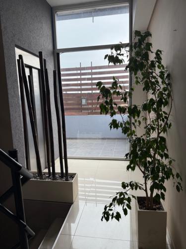 Casa Olivia in Lujan