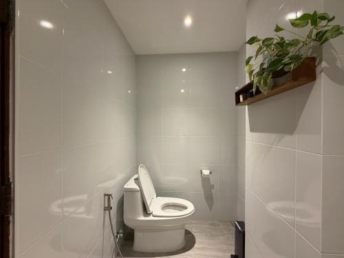 OLD SOUL Hostel - image 11