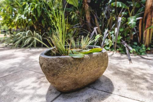 Albany Bali Style Accommodation